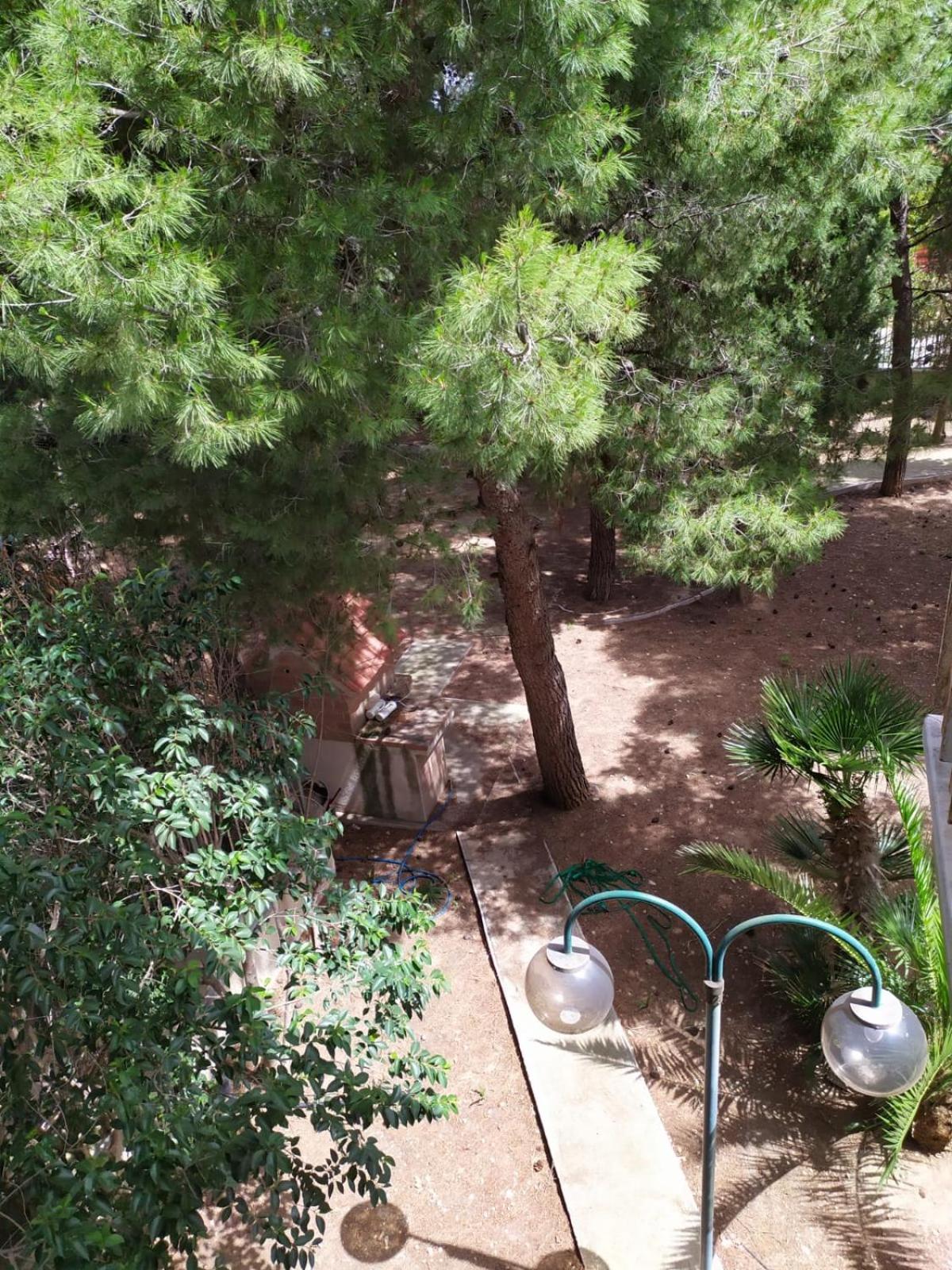 Terra Bianca Bed & Breakfast Trani Room photo